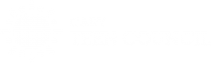 Cary Teen Council